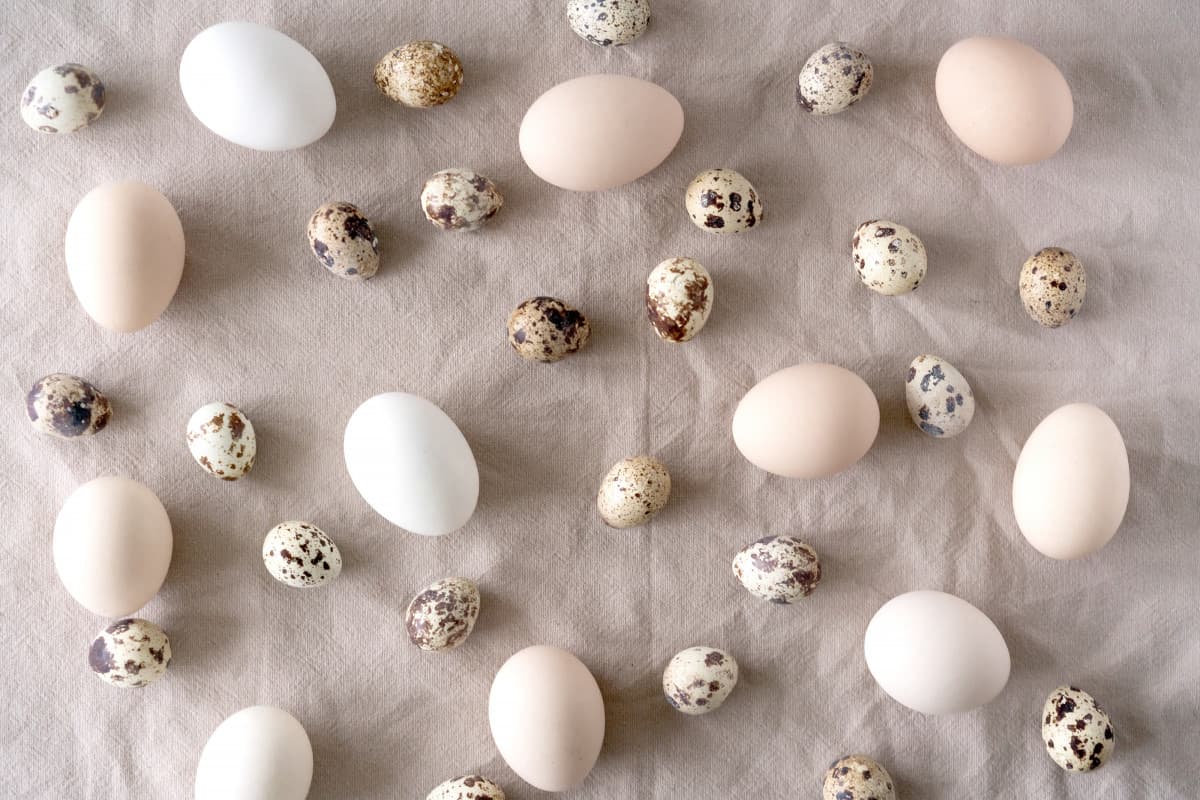 Tips för en hälsosam påsk