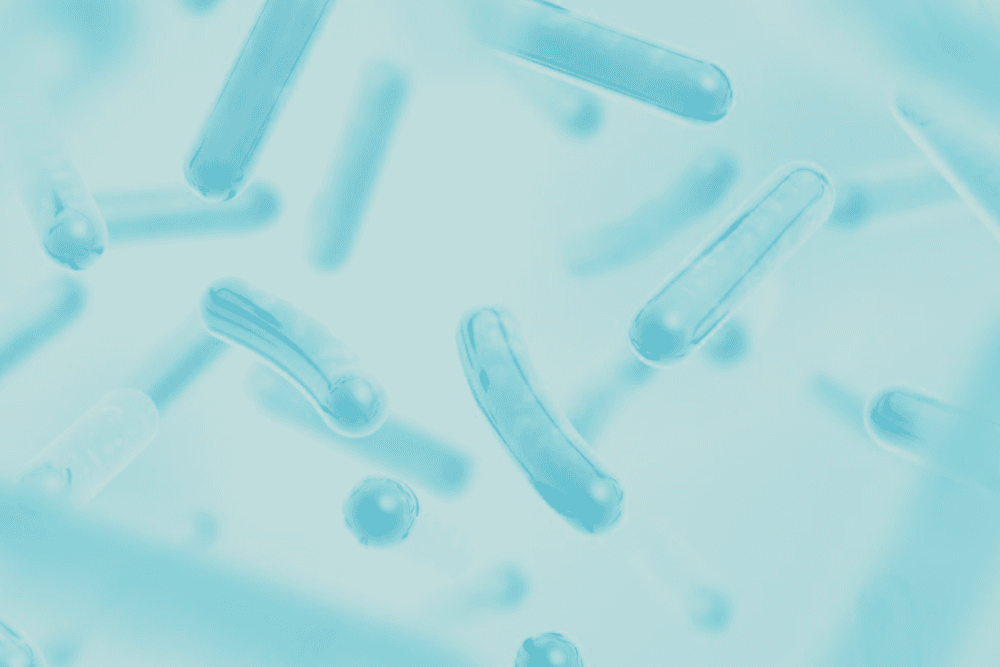 Vilka mjölksyrabakterier fungerar? - Super Synbiotics