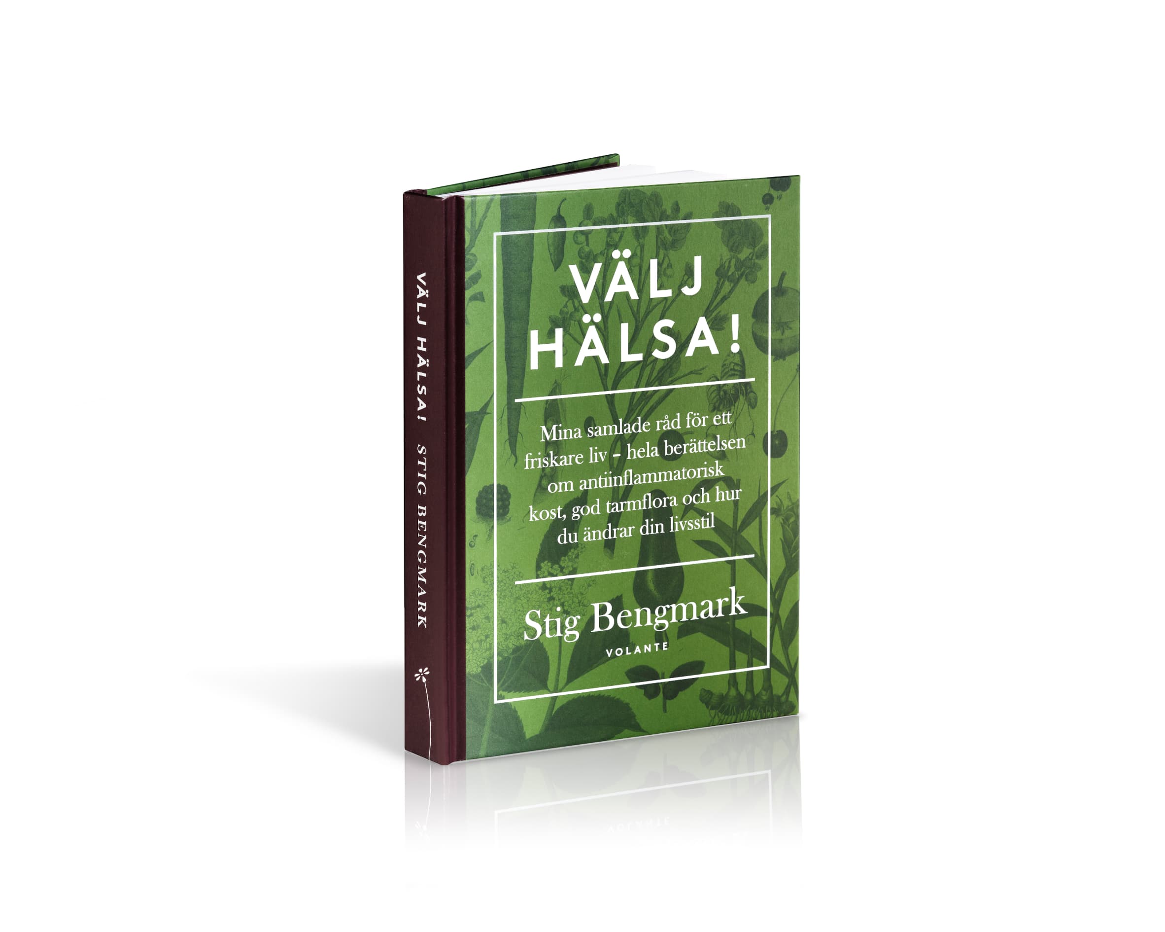 Stig Bengmark Valjhalsa bok