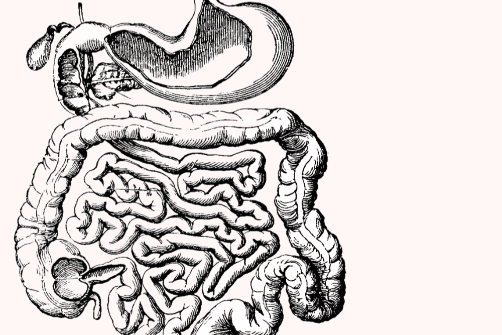 IBS - världens vanligaste sjukdomar
