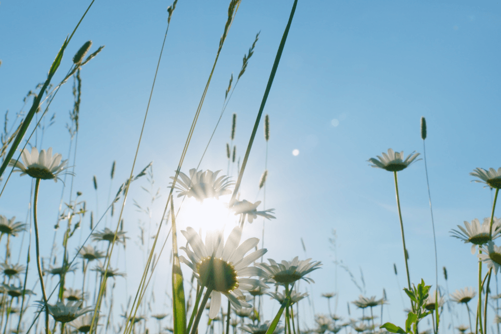 8 vinkkiä ilman turhaa kitkuttelua!