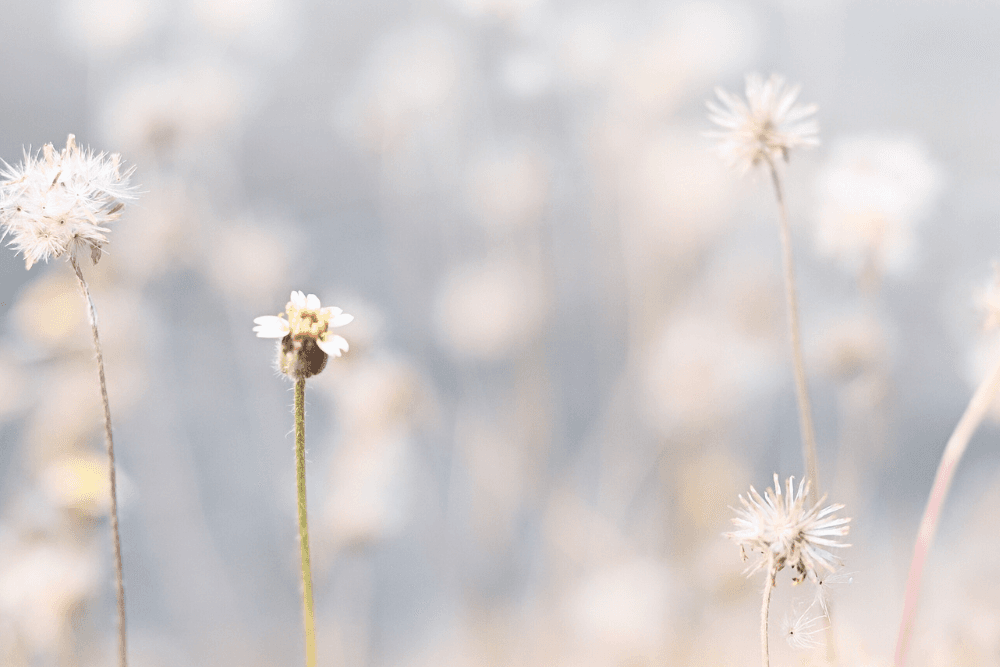 Anna suolistofloorallesi uusi alku loman jälkeen