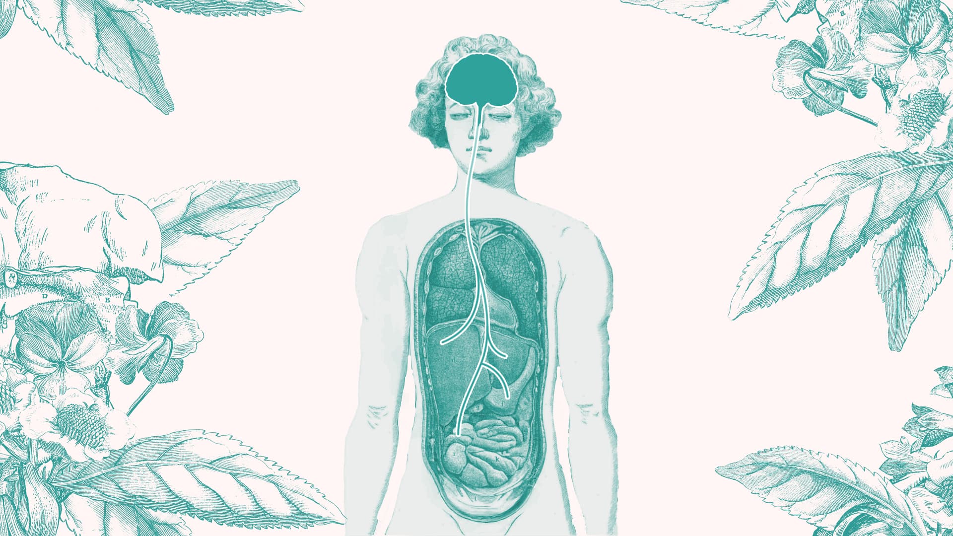 NPF-symtom och tarmfloran